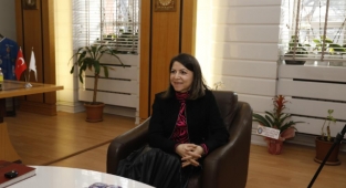 Ölen gebe kedinin karnını açıp yavrularını kurtardı