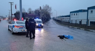 Otomobilin çarptığı kadın hayatını kaybetti.