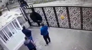 Palalı örümcek adam düz duvardan indi