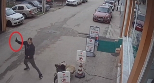 Pitbull köpeğini sokak köpeğine saldırttı, selfie çekti