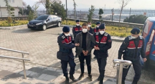 4 kamyonet zeytin fidanını çaldılar, jandarmaya yakalandılar