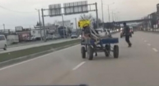 Bursa'da sürücüsüz at arabası trafiği birbirine kattı