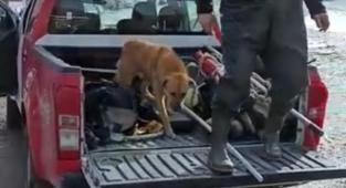 Gölete düşen köpeği donmak üzereyken kurtardılar