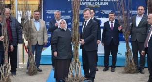 Kelesli üreticiye meyve fidanı ve yem tohumu desteği