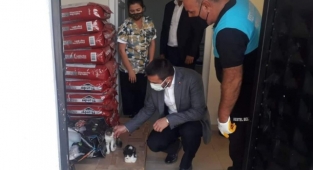 Kestel’de sokak hayvanları için ‘Mamamatik’ uygulaması