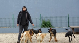 Bayram öncesi köpek otellerinde yer kalmadı