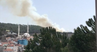 Bursa’da ikinci orman yangını
