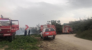 Gemlik’teki orman yangını kontrol altında