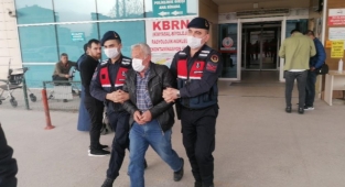Hamile köpeği öldüren zanlı serbest bırakıldı