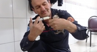 İtfaiye ekipleri kurtardıkları 3 yavru kediyi elleriyle besledi