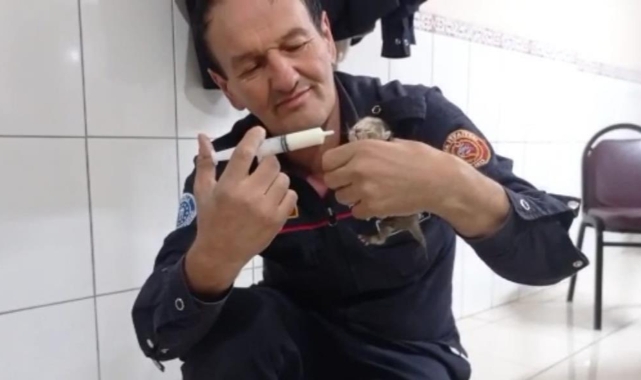 İtfaiye ekipleri kurtardıkları 3 yavru kediyi elleriyle besledi