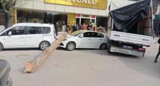 Kamyon'dan düşen tomruk üç aracı ezdi