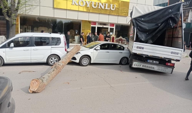 Kamyon'dan düşen tomruk üç aracı ezdi