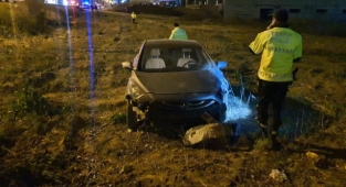 Köpeğe çarpan otomobil şarampole uçtu