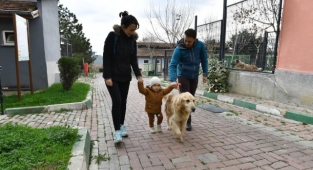 Osmangazi’de 78 can dost sıcak yuvaya kavuşturuldu