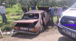 Otomobil zeytinliğe daldı: 2’si çocuk 4 yaralı