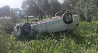 Otomobil zeytinliğe uçtu: 2 yaralı