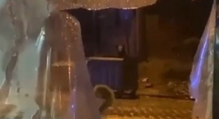 Uludağ’da günübirlikçi tatilcilerin ayı paniği