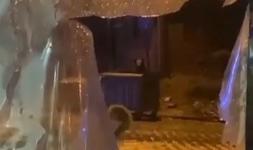 Uludağ’da günübirlikçi tatilcilerin ayı paniği