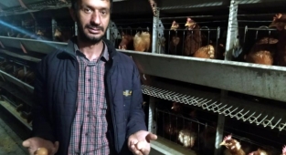 Yumurta üreticileri devletten destek bekliyor