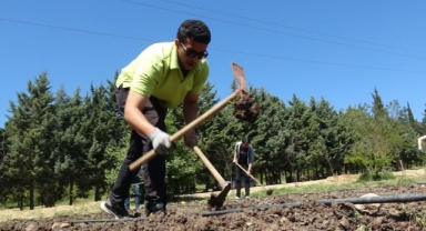 3 bin kilometre uzaktan doğru tarım için geldiler