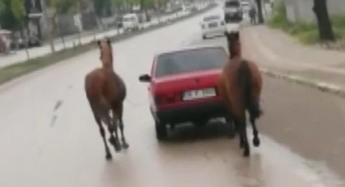 Bursa'da tepki çeken görüntü