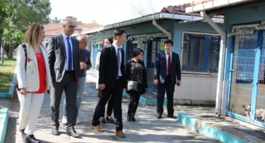 Can dostlara atıklardan barınak yaptılar