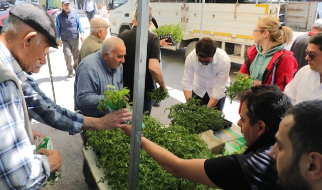 Gemlik’te ücretsiz fide dağıtımı başladı