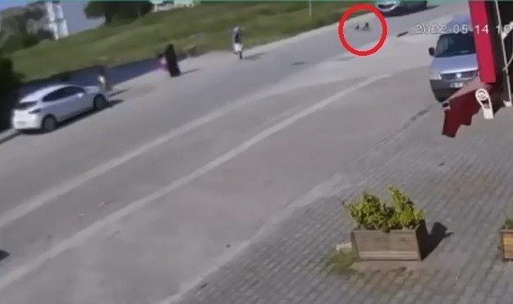 Köpekten kaçarken az daha canından oluyordu