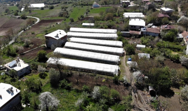 Köylü kadınlar yılda 6 milyon liralık tohum yetiştiriyor