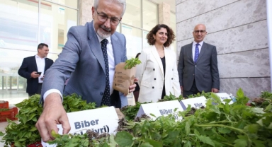 Nilüfer Belediyesi 4 günde 400 bin fide dağıtacak