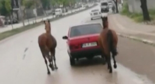 O sürücüye ceza yağdı