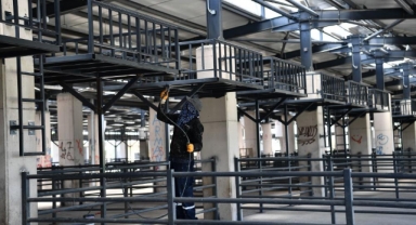 Osmangazi’de kurban pazarları bayrama hazırlanıyor