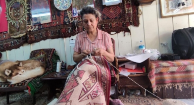 Halı doktoru