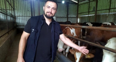 Hayvan dolandırıcılığına dikkat