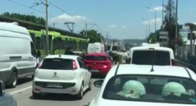 Kaçan boğalar trafiği kilitledi