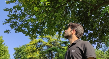 Kilosu yüzlerce lira...Her cadde ve parkta var, kimse toplamıyor