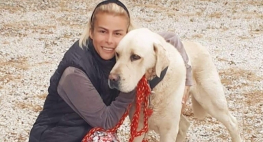Köpeğini bulup getirene büyük ödül verecek
