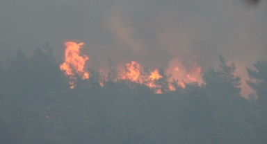 Marmaris yangınına müdahale devam ediyor