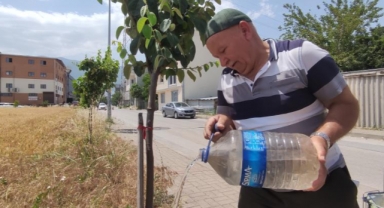 Sokak sokak gezip her yere fidan dikiyor