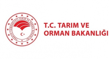 Tarım ve Orman Bakanlığı personel alımı