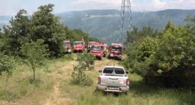 Uludağ eteklerinde orman yangını