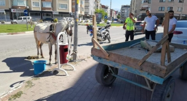 Başıboş at trafiği altüst etti
