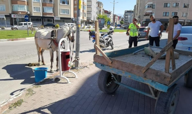 Başıboş at trafiği altüst etti