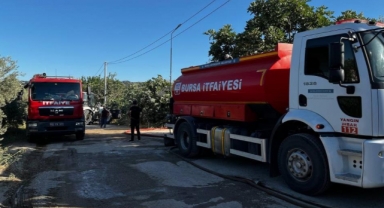 Bir kıvılcım çiftliği küle çevirdi