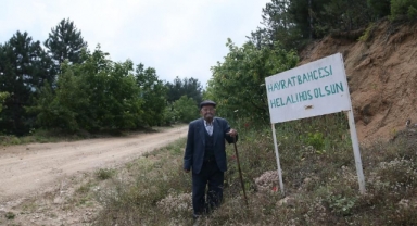 Bu bahçeden meyve koparmak serbest