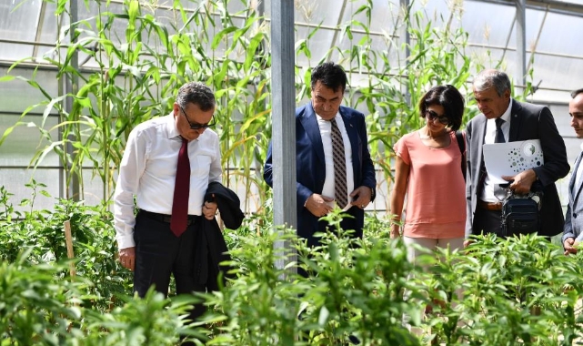 Bursa'da yerli ve milli tohum için işbirliği