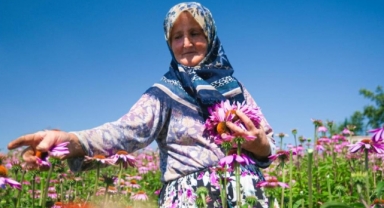 Ekinezya hasadı 'bayram sevinci' yaşattı