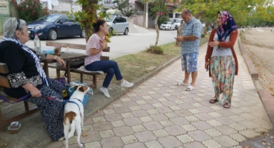 Genç kız köpeğin saldırısına uğradı
