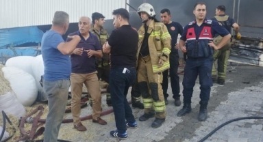 Hayvan çiftliğinde yangında 60 hayvan telef oldu